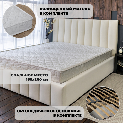 160 кость.jpg